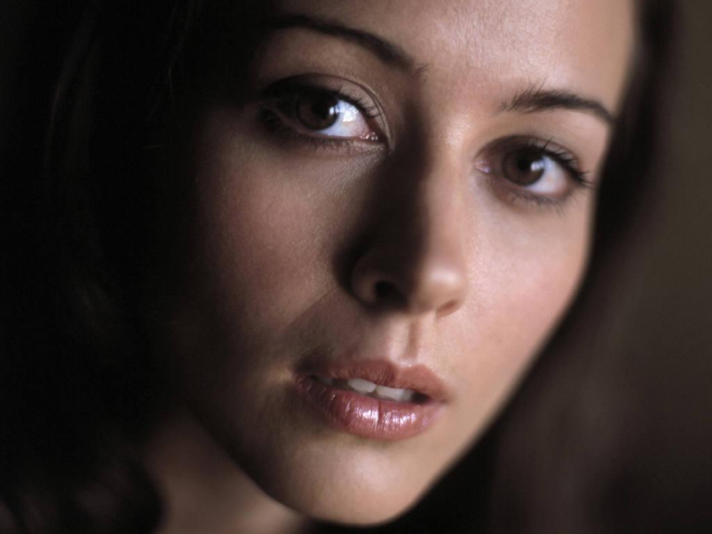 Amy Acker, amy-acker Photo #62199