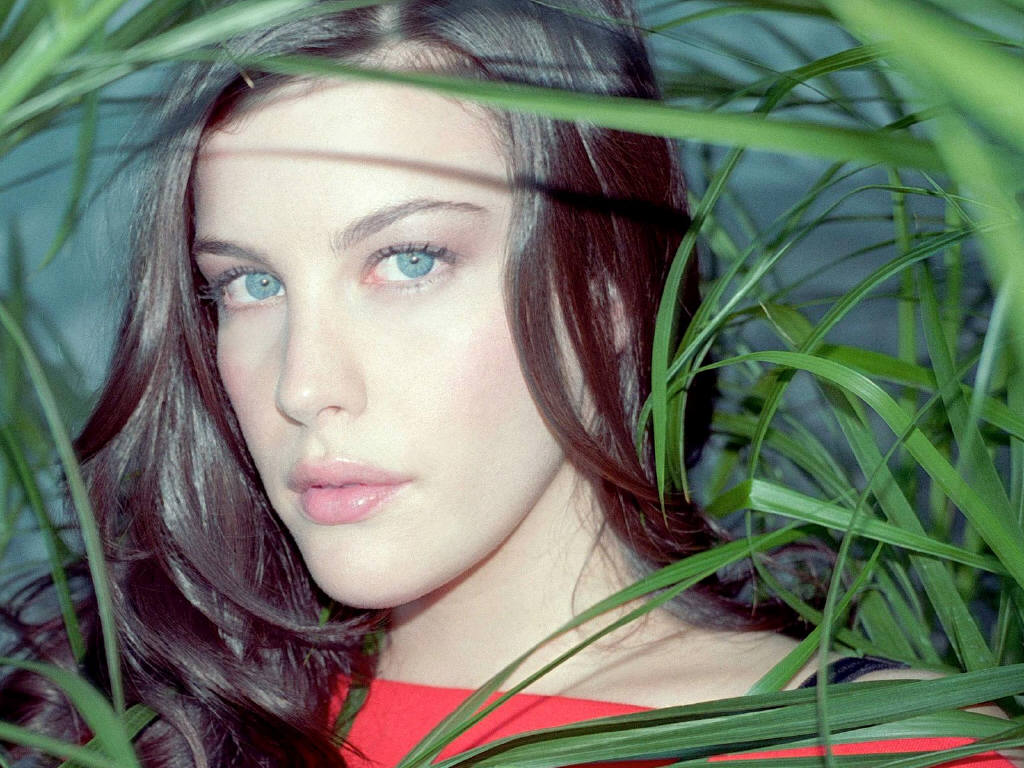 Liv Tyler, liv-tyler Photo #84981